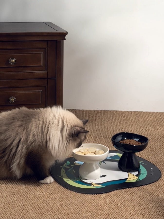 ragdoll-cat-eating-treats-from-kamamuta-bamboo-pet-placemat