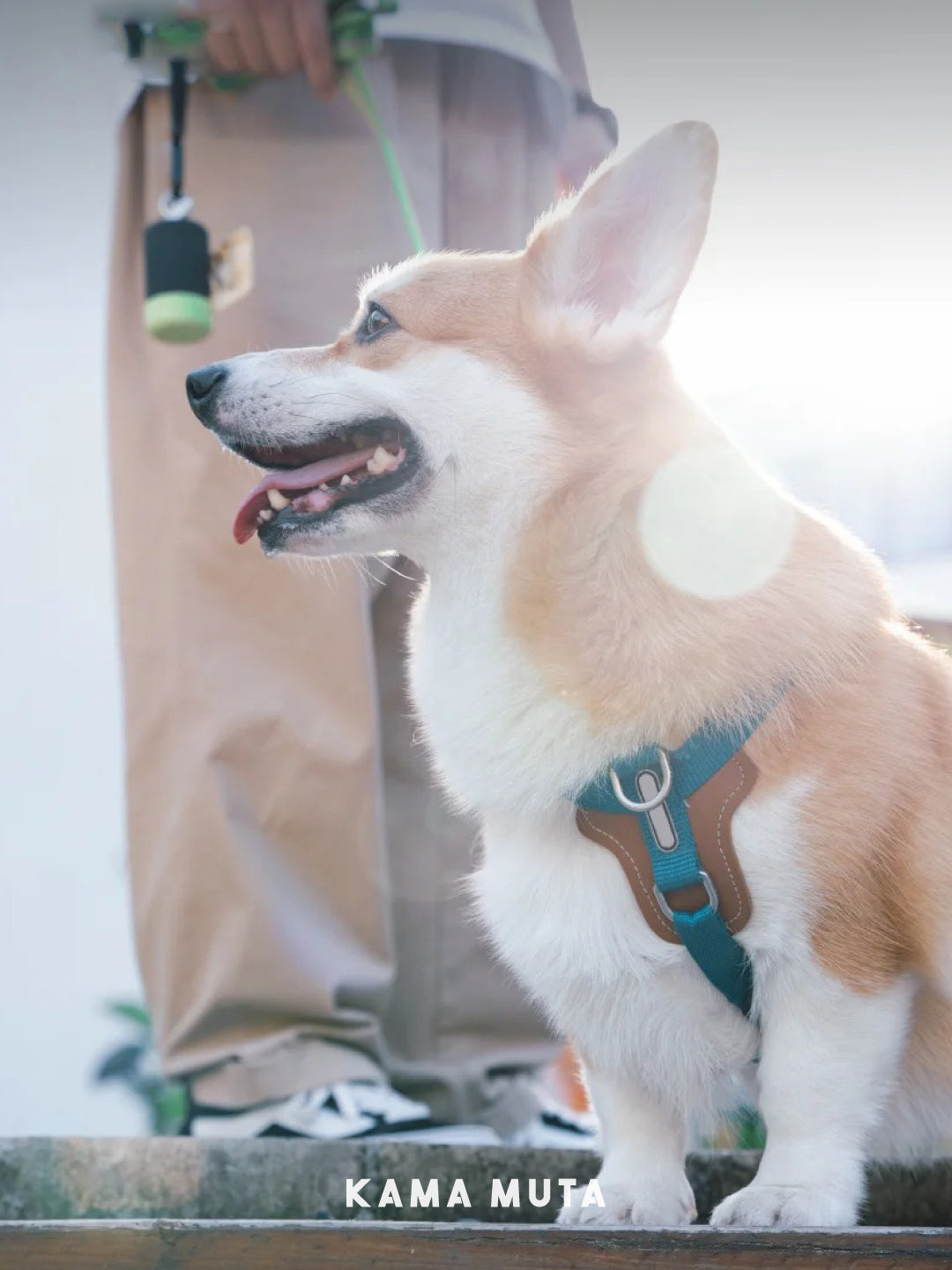 Biodegradable Large Small Dog Poop Bag Kamamuta