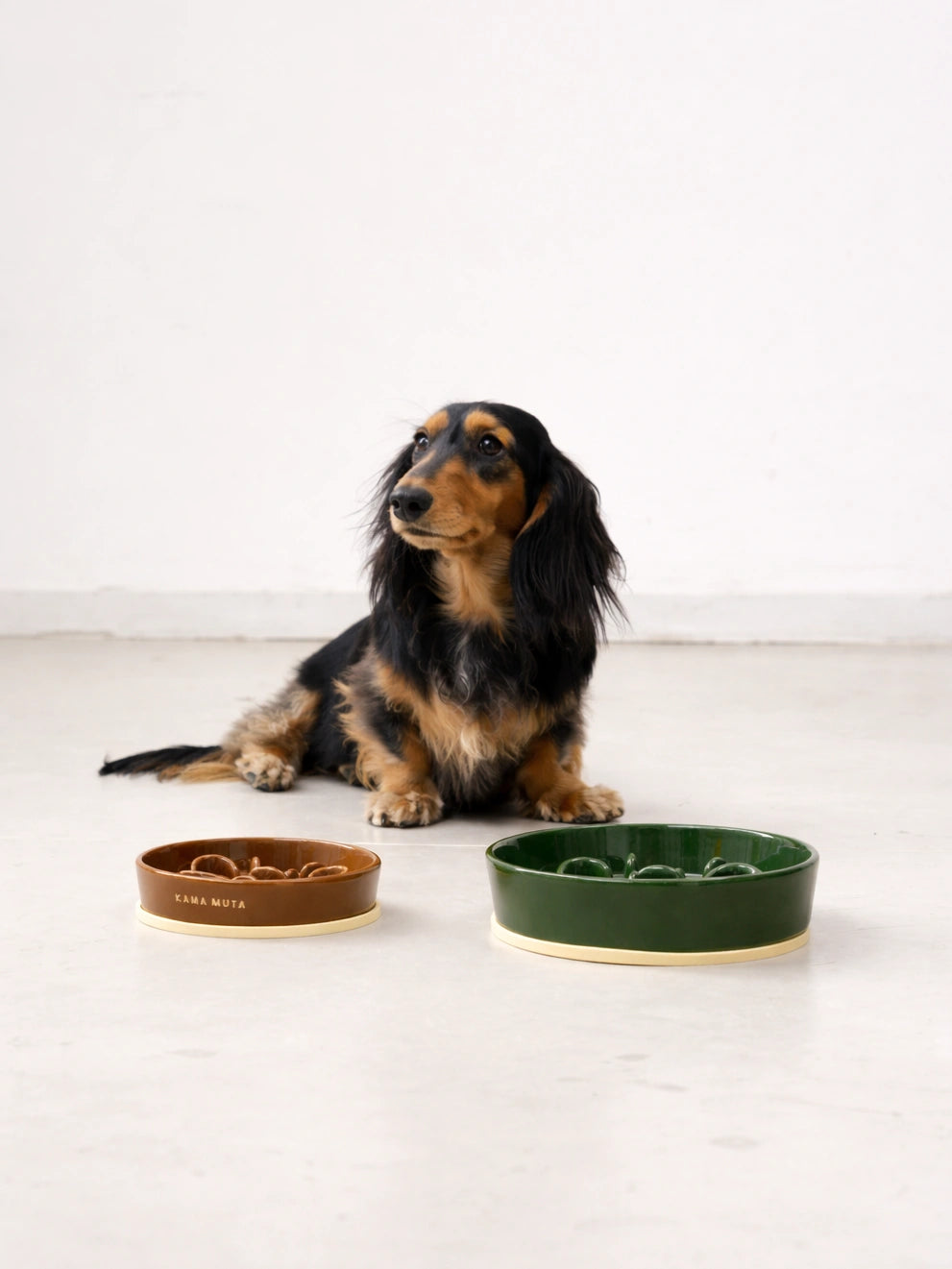 Bone · Slow Feeder Bowl