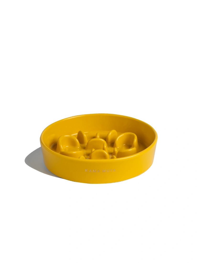 yellow-kamamuta-bone-slow-feeder-dog-bowl