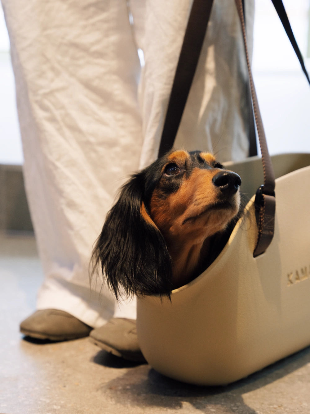 Plus Pet Tote Bag Carrier