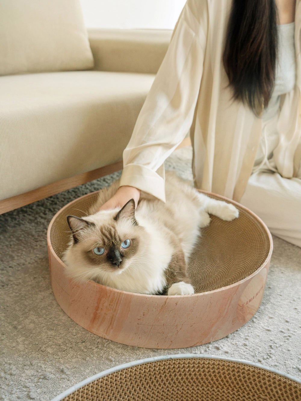 hand-petting-cat-lying-in-kamamuta-mars-cat-scratcher-bed