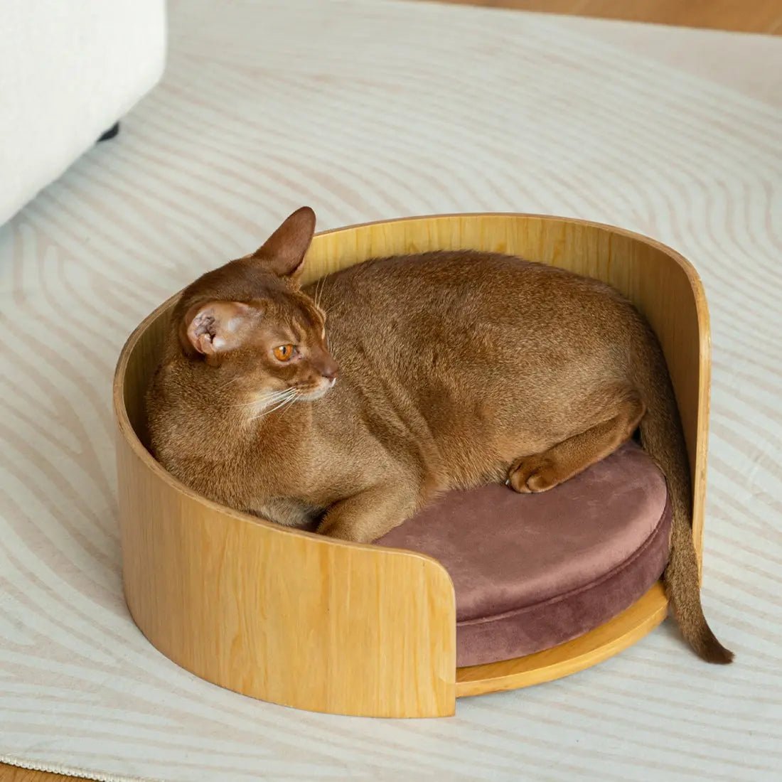 Cuddle Pet Bed Kamamuta