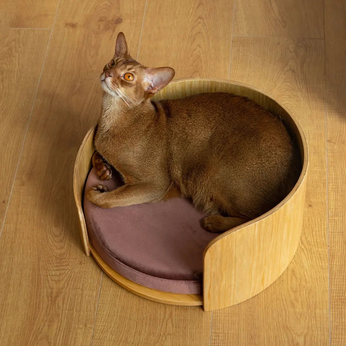 Cuddle Pet Bed Kamamuta