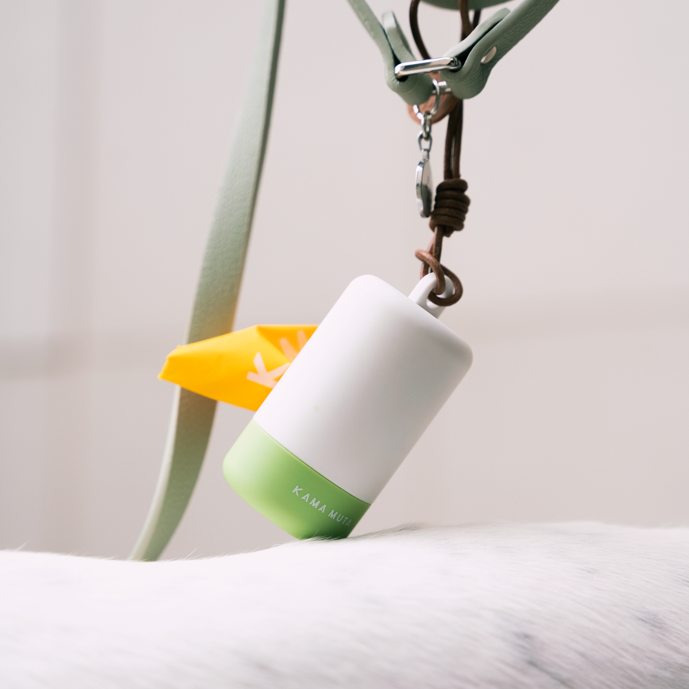 Daily Dog Walking Poop Bag Holder Kit Set KamaMuta