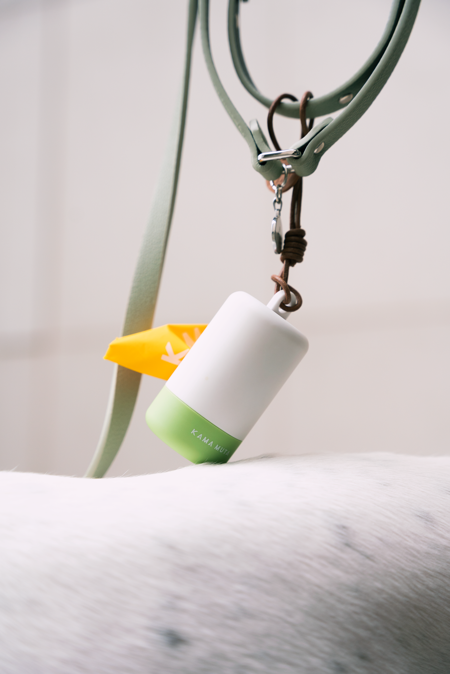 Daily Dog Walking Poop Bag Holder Kit Set KamaMuta