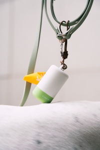 Daily Dog Walking Poop Bag Holder Kit Set KamaMuta