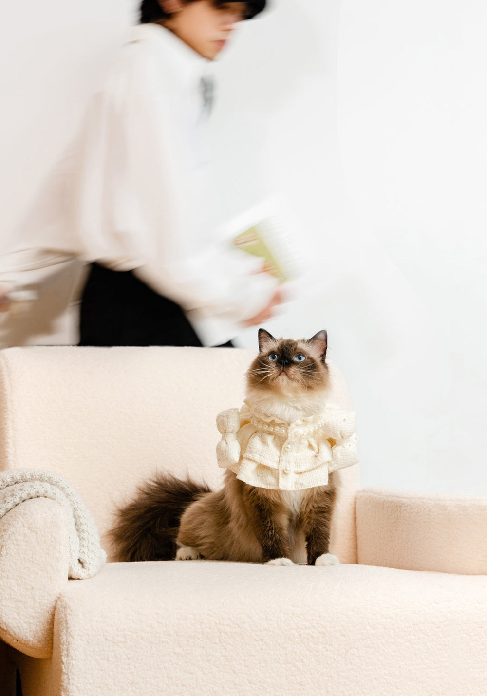 Designer Handmade Puppy Scarf Pet Bandana Kamamuta