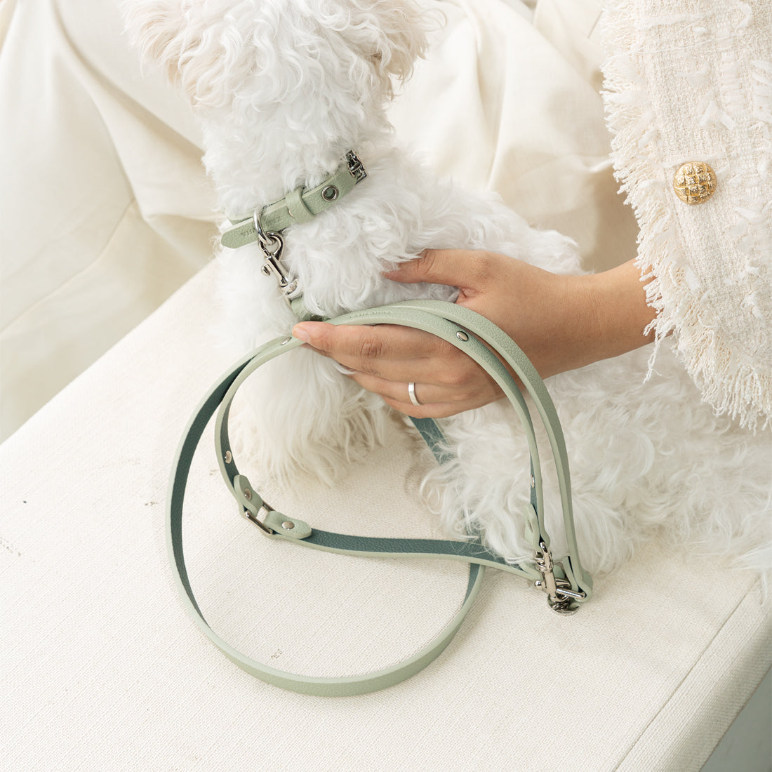 Designer Premium Dog Leash Kamamuta