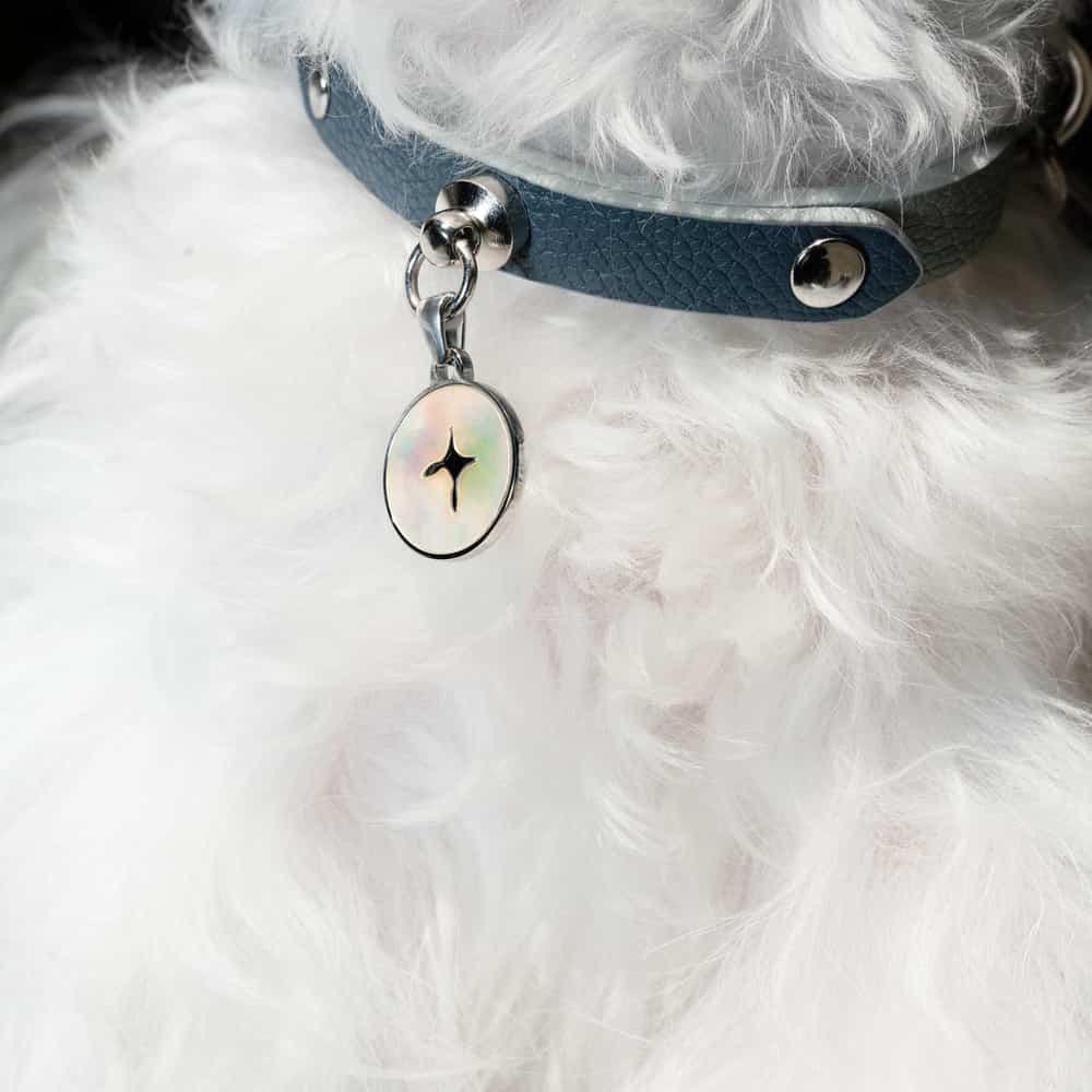 Designer Premium Dog Leash Kamamuta
