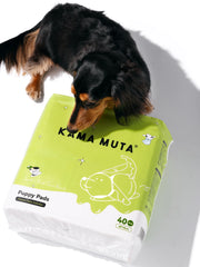 Scented Dog Pee Pads