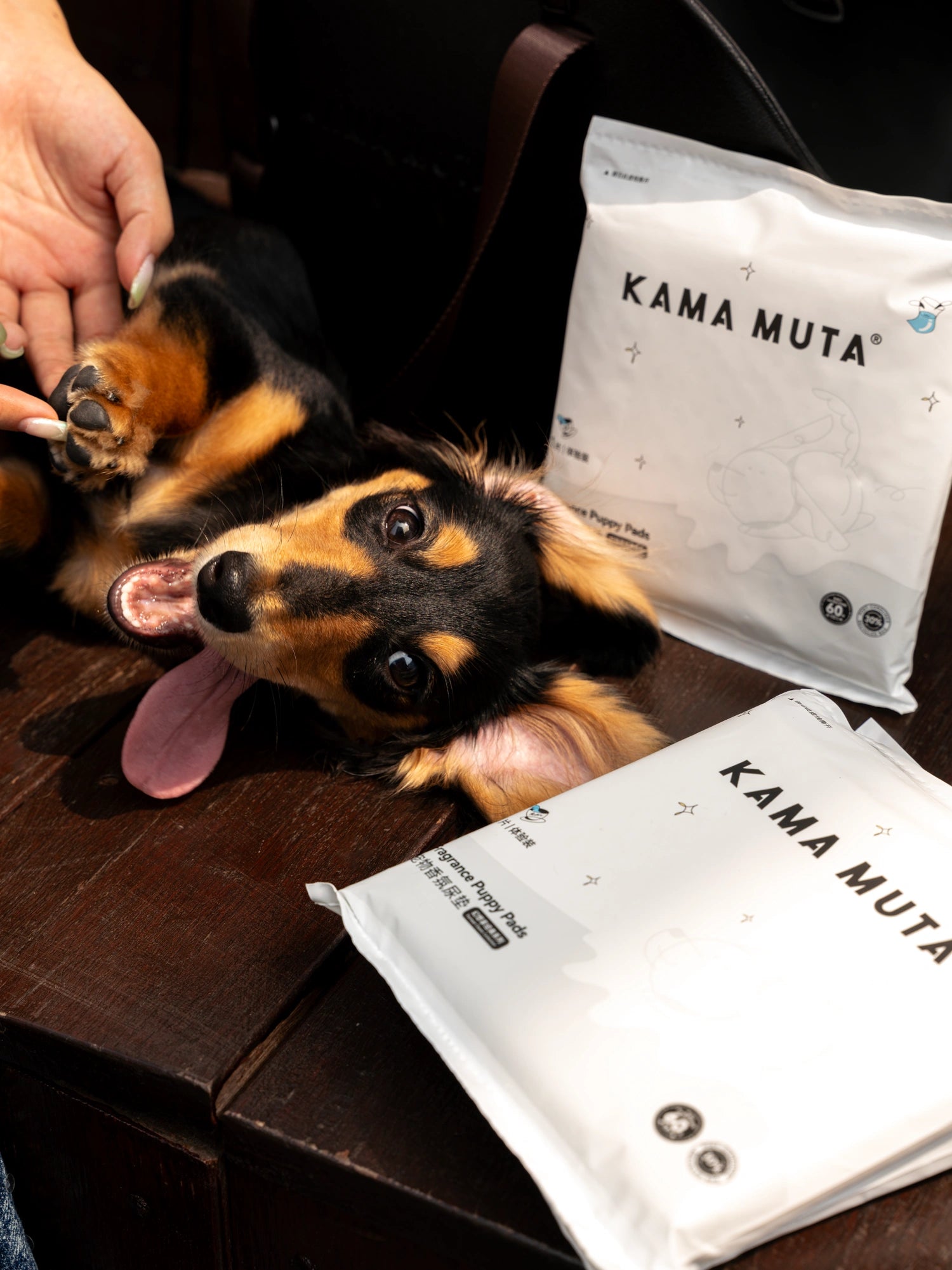 Dog Pee Pads Training Sample Trial Signature Scents