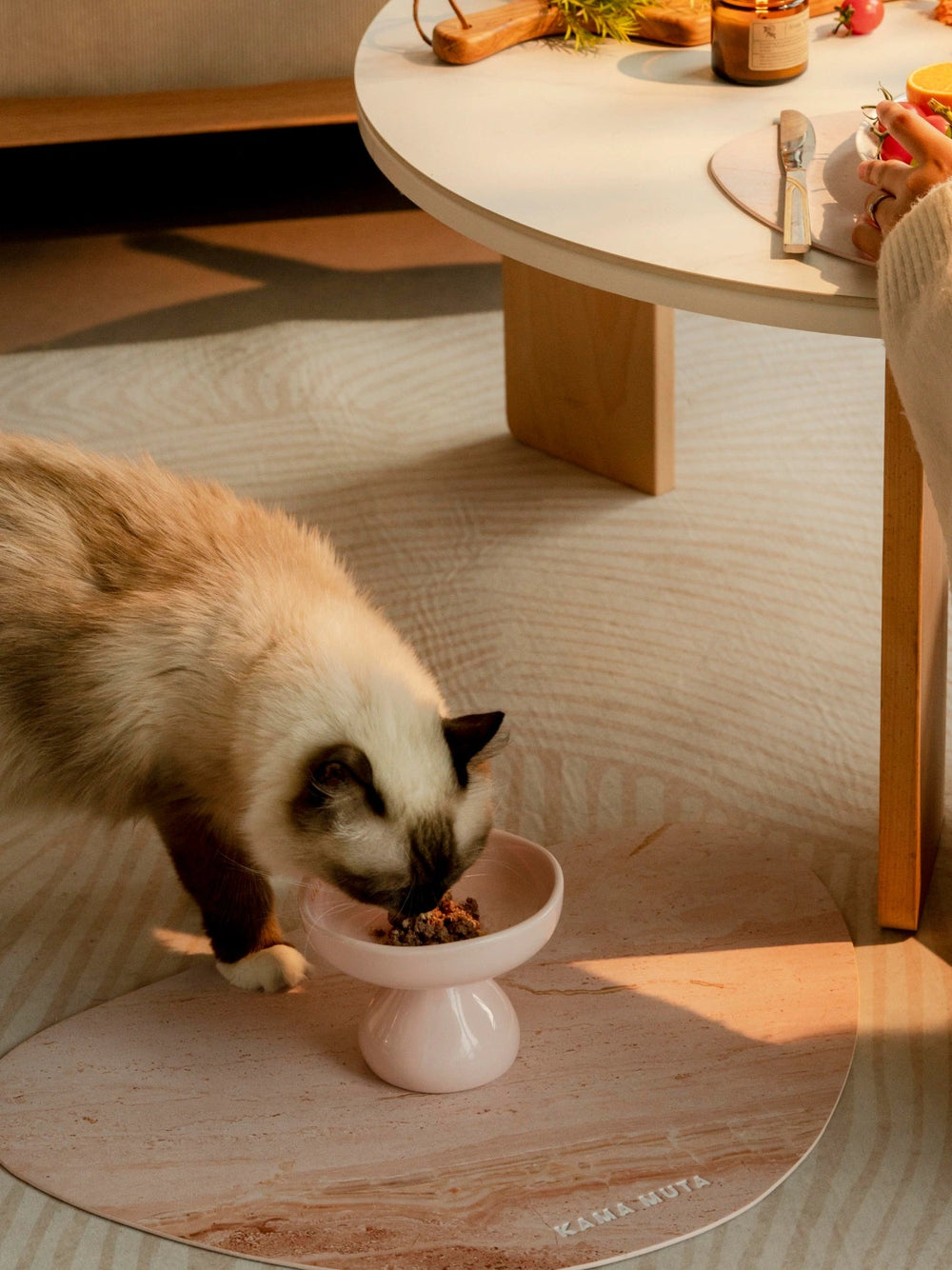 a-ragdoll-eating-kibble-from-pink-kamamuta-mushroom-bowl-on-kamamuta-mars-pet-placemat