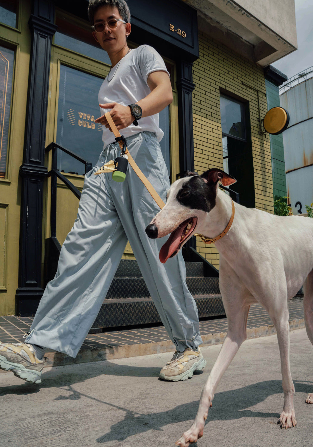 Durable Dog Poop Bag Holder-Daily Walk Kamamuta