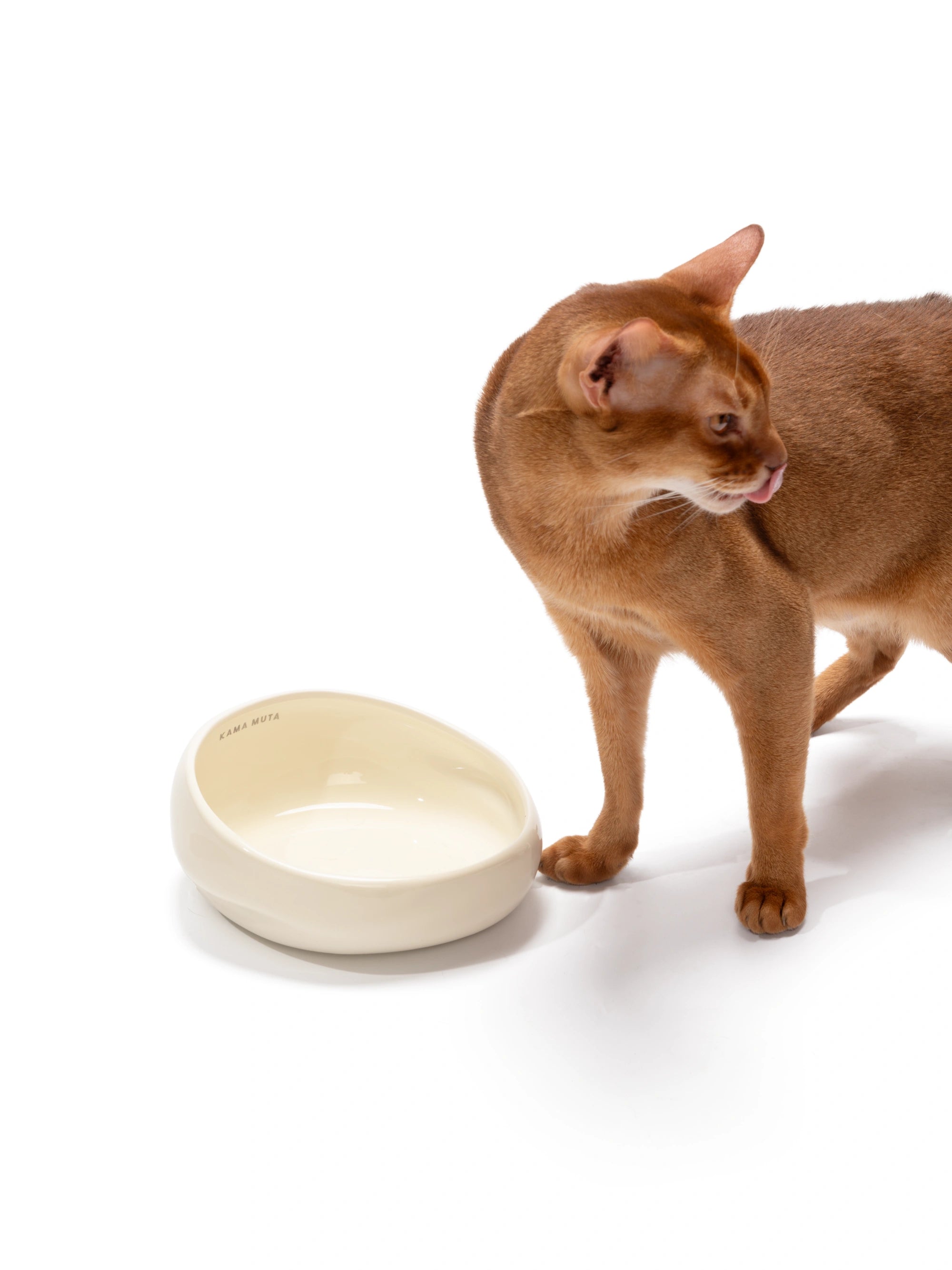 Lake · Pet Bowl Water Bowl