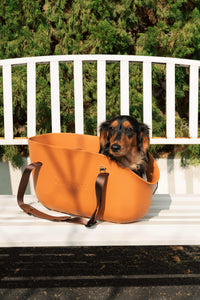 Lightweight Puppy Outing Pet Carrier Bag Kamamuta