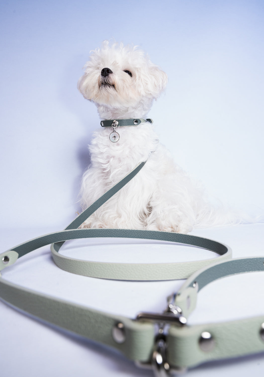 Luxury Natural Gemstone Collars for Small Dogs & Cats Kamamuta