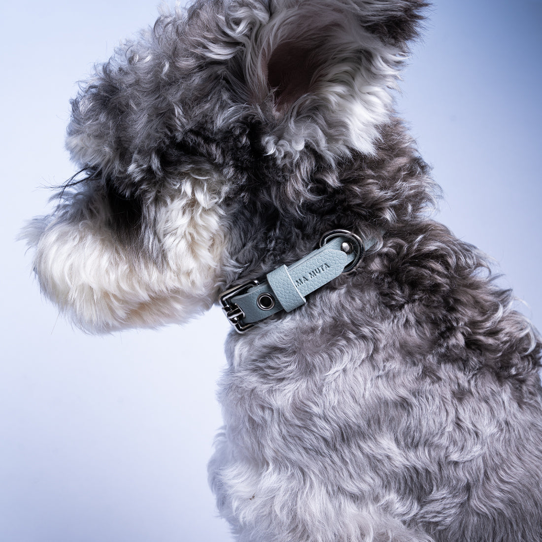 Luxury Natural Gemstone Collars for Small Dogs & Cats Kamamuta