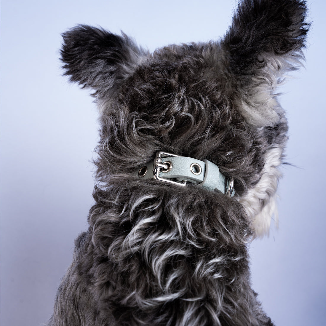 Luxury Natural Gemstone Collars for Small Dogs & Cats Kamamuta