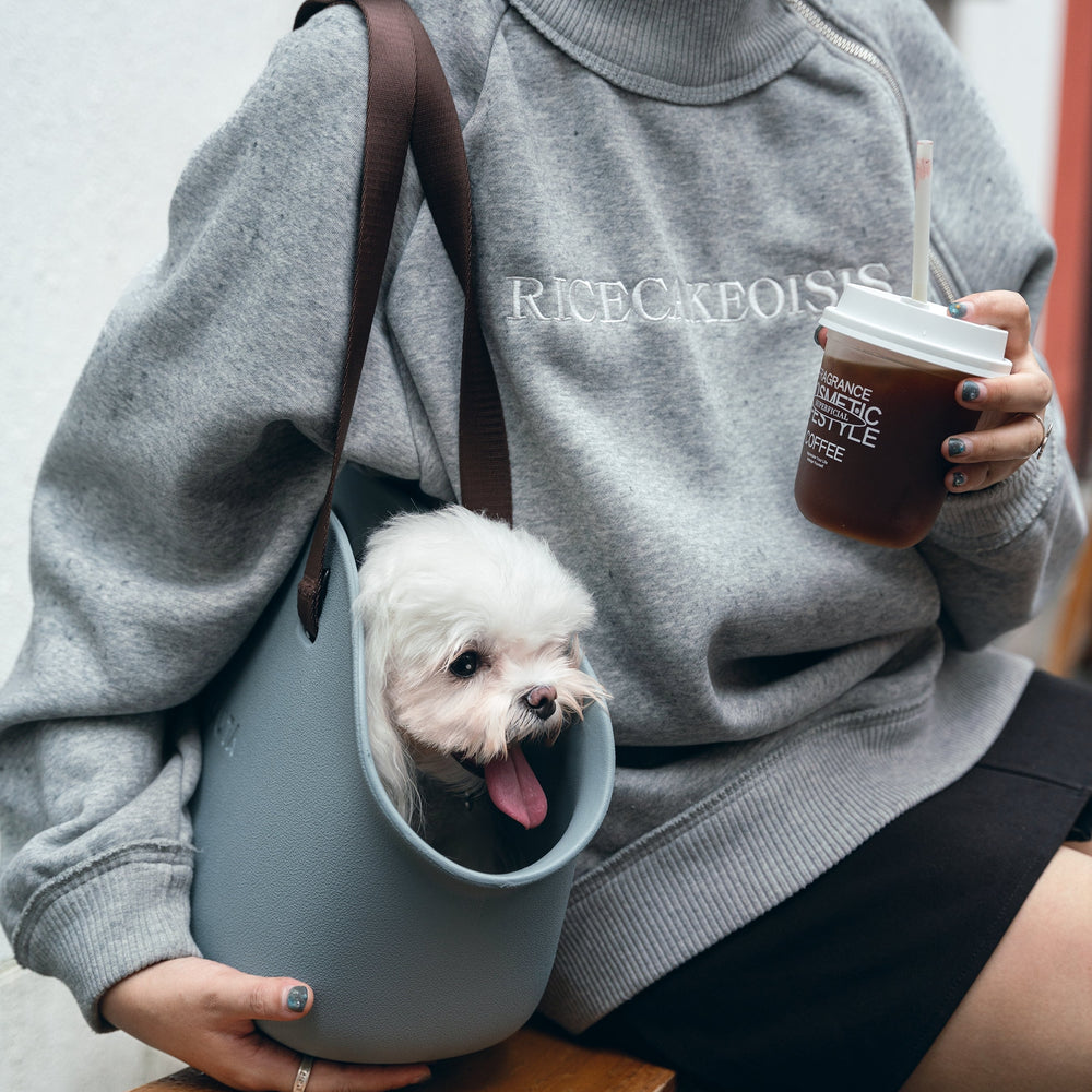 Mini Lightweight Stylish Pet Outing Dog Carriers Kamamuta