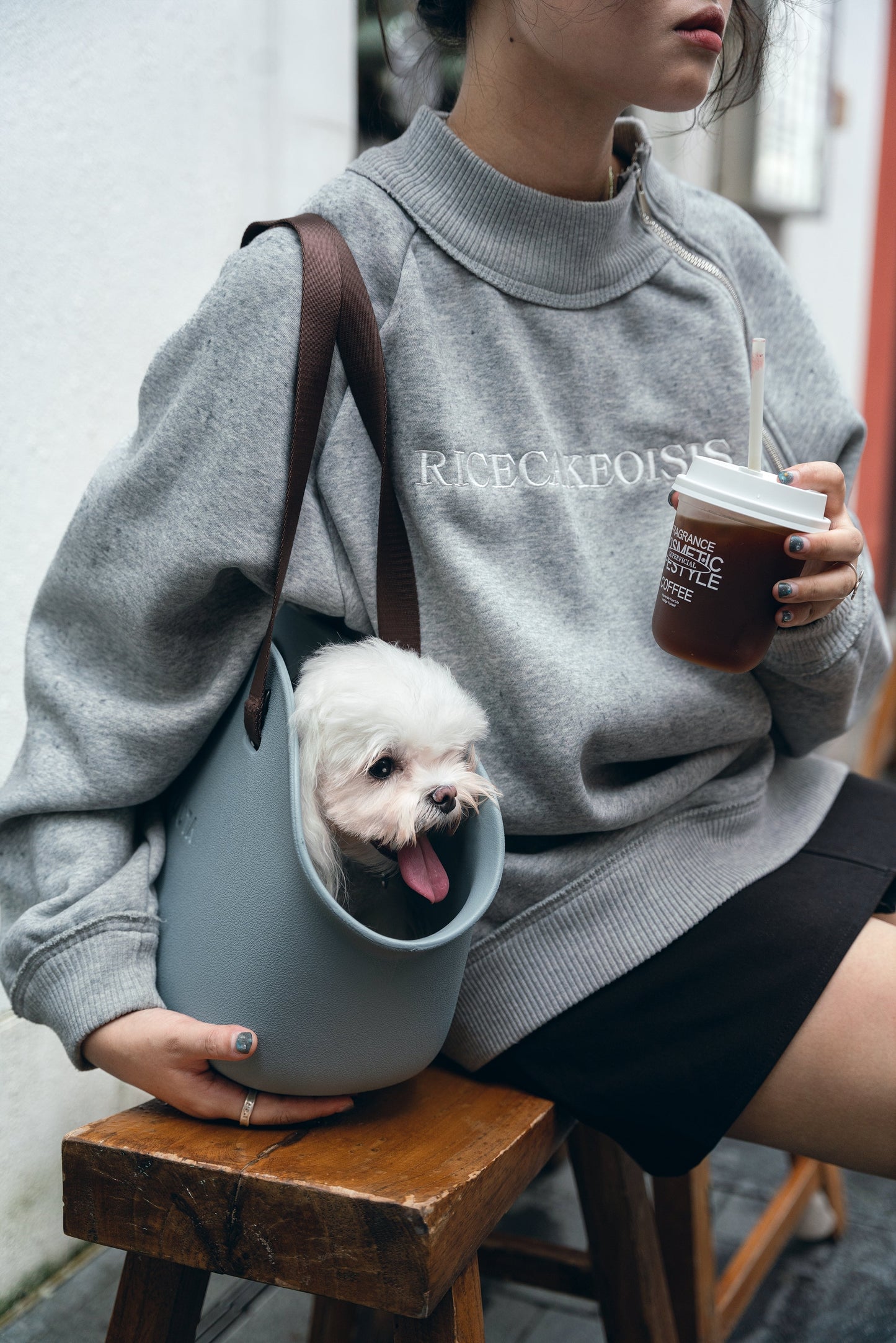 Mini Lightweight Stylish Pet Outing Dog Carriers Kamamuta