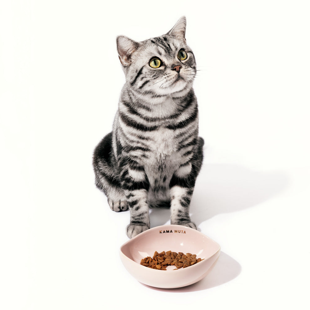 Mini Pod Bowl Pet Bowl KamaMuta