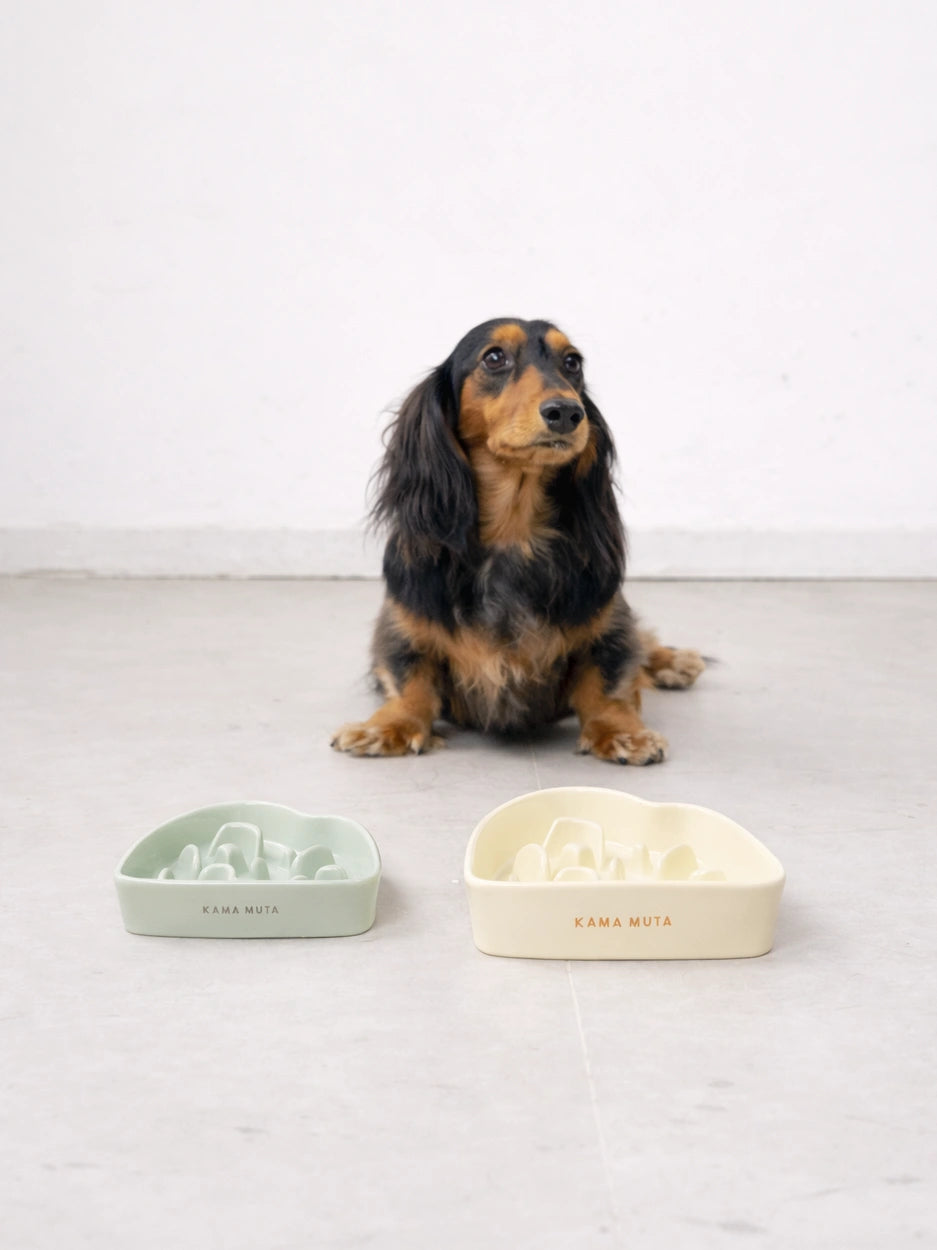 Amidst the Mountains · Slow Feeder Bowl