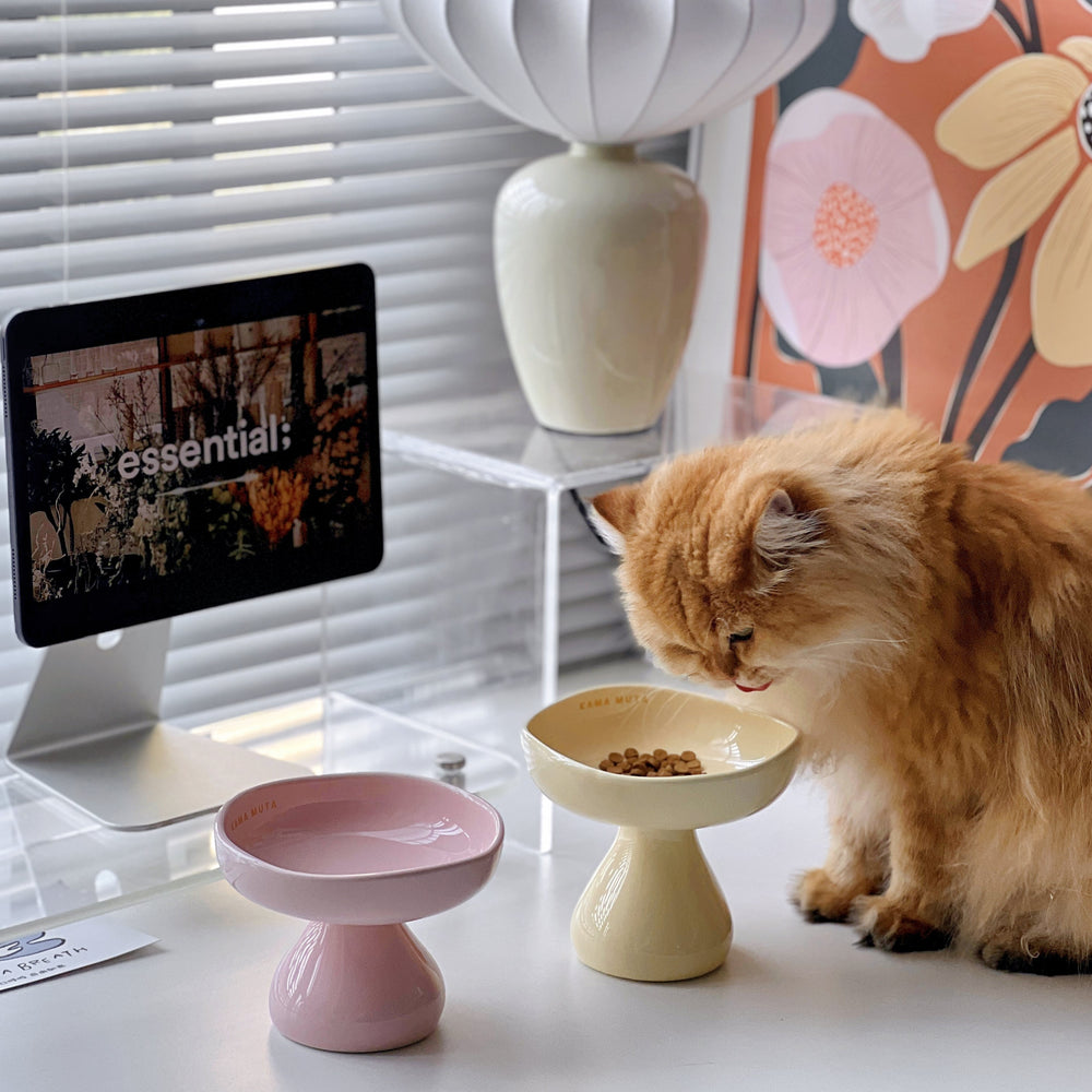 Mushroom  Ceramic Elevated Cat Bowl Kamamuta
