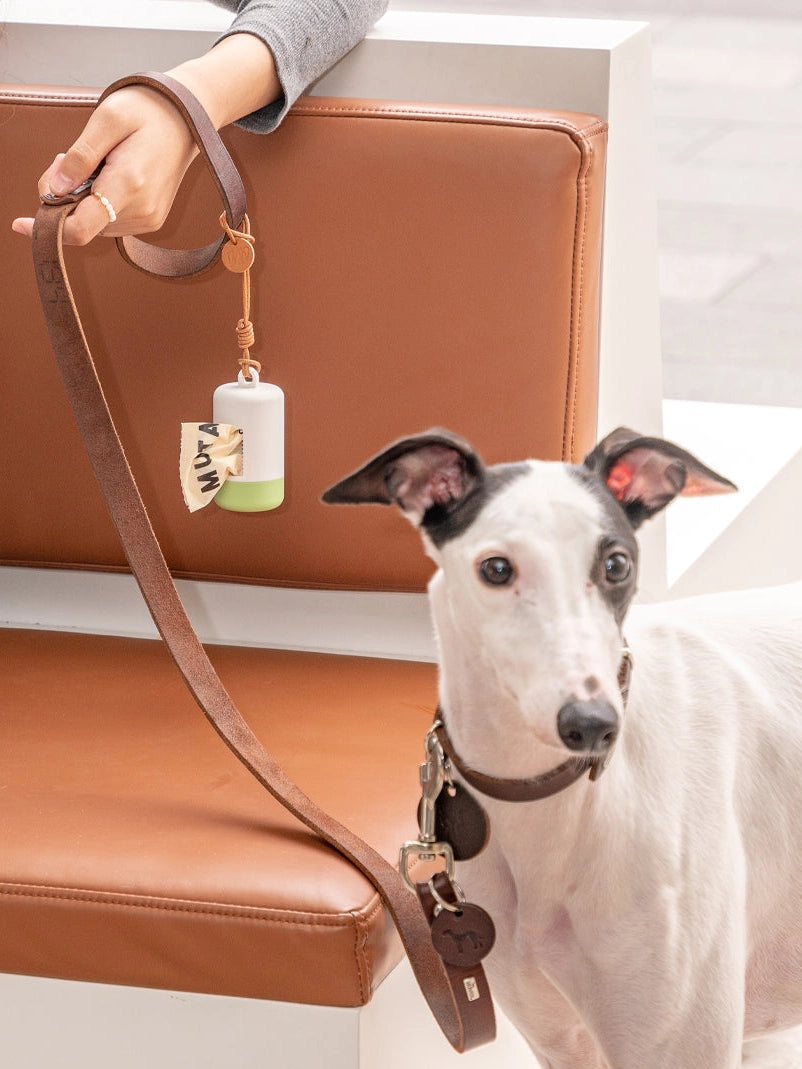 Dog Poop Dispenser Bag Holder