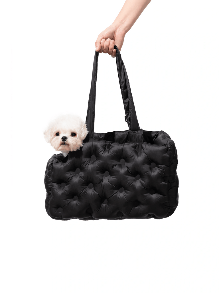 pet-airy-bag-pet-carrier-