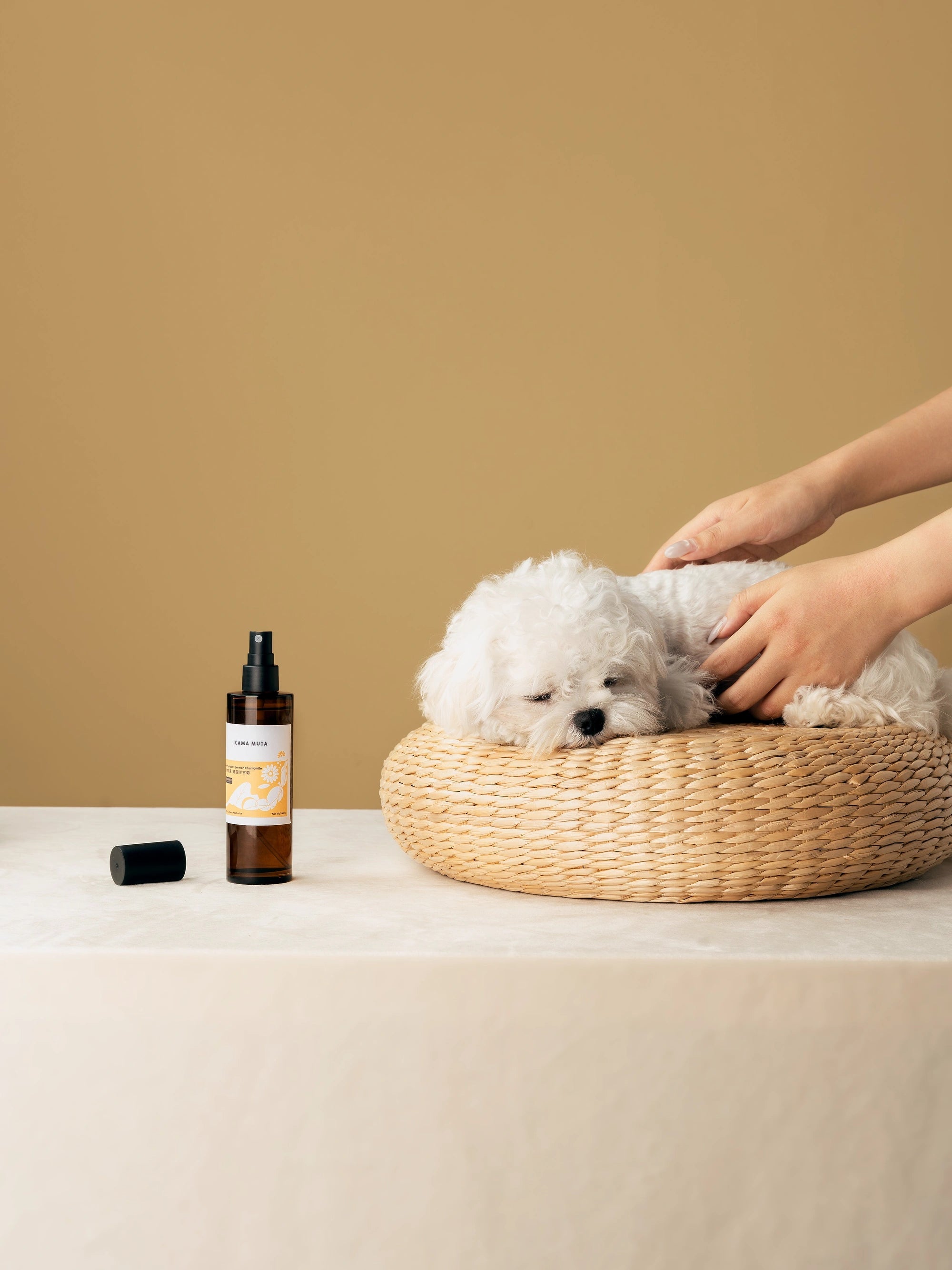 Pet Hydrosol Daily Pet Care