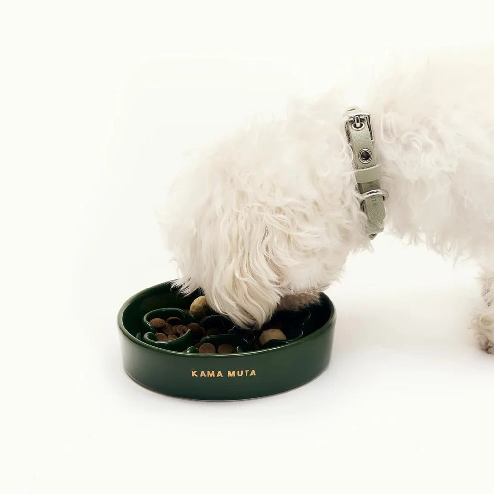 
                  
                    Pet Slow Feeder Bowl KamaMuta
                  
                