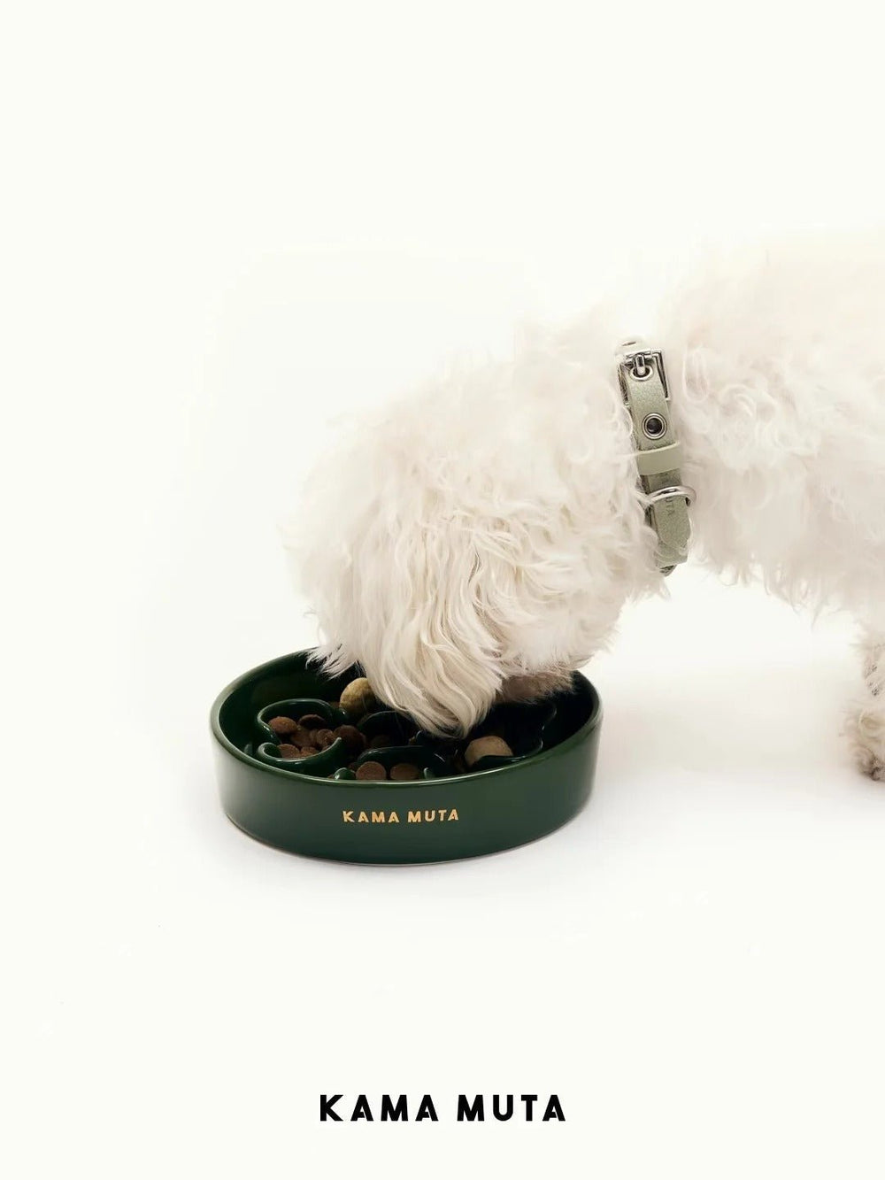 dog-eating-food-from-kamamuta-bone-slow-feeder-bowl