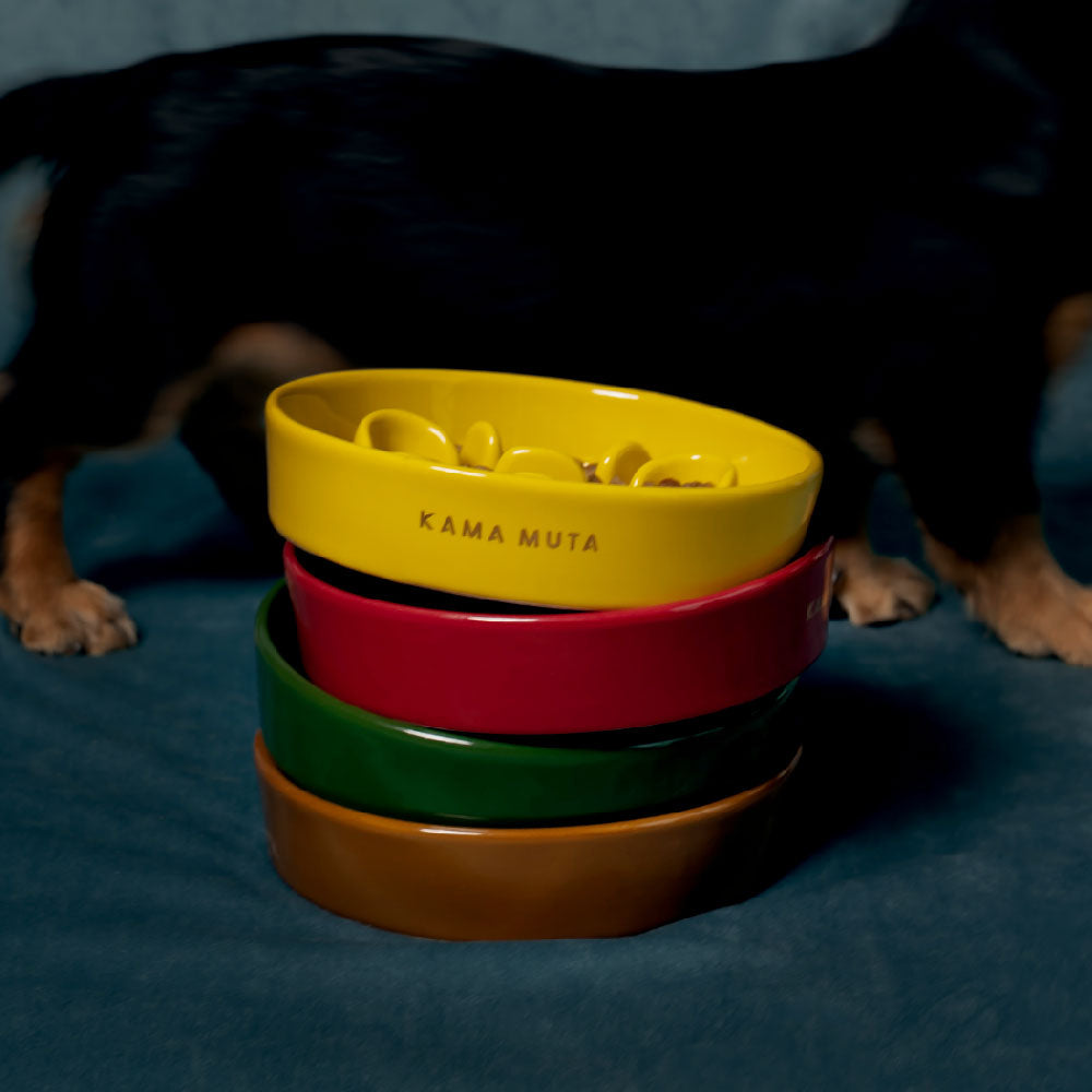 Pet Slow Feeder Dog Bowl- Bone Kamamuta
