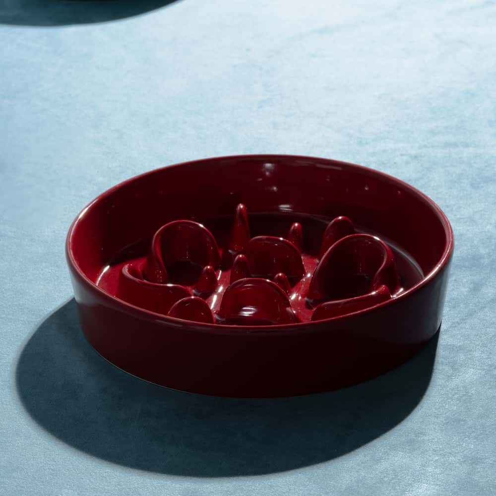 
                  
                    Pet Slow Feeder Dog Bowl- Bone Kamamuta
                  
                