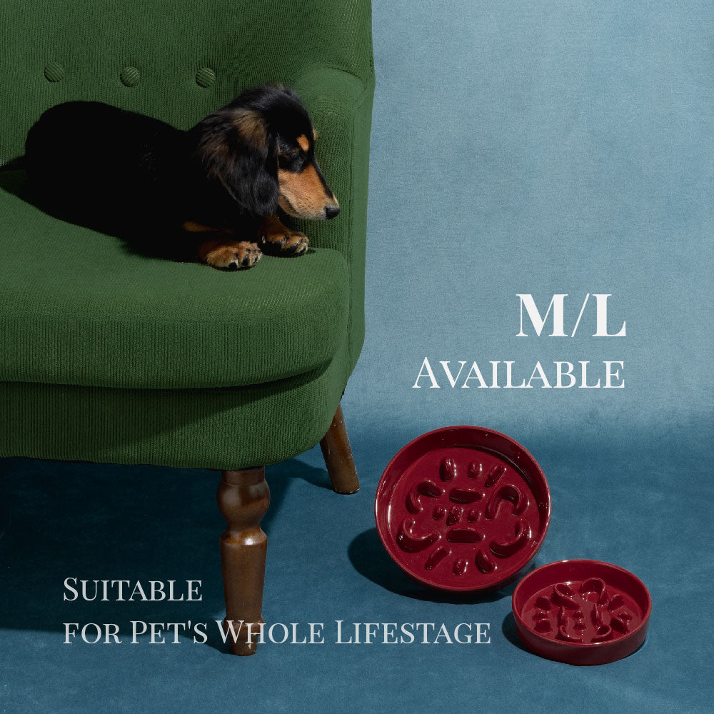 
                  
                    Pet Slow Feeder Dog Bowl- Bone Kamamuta
                  
                
