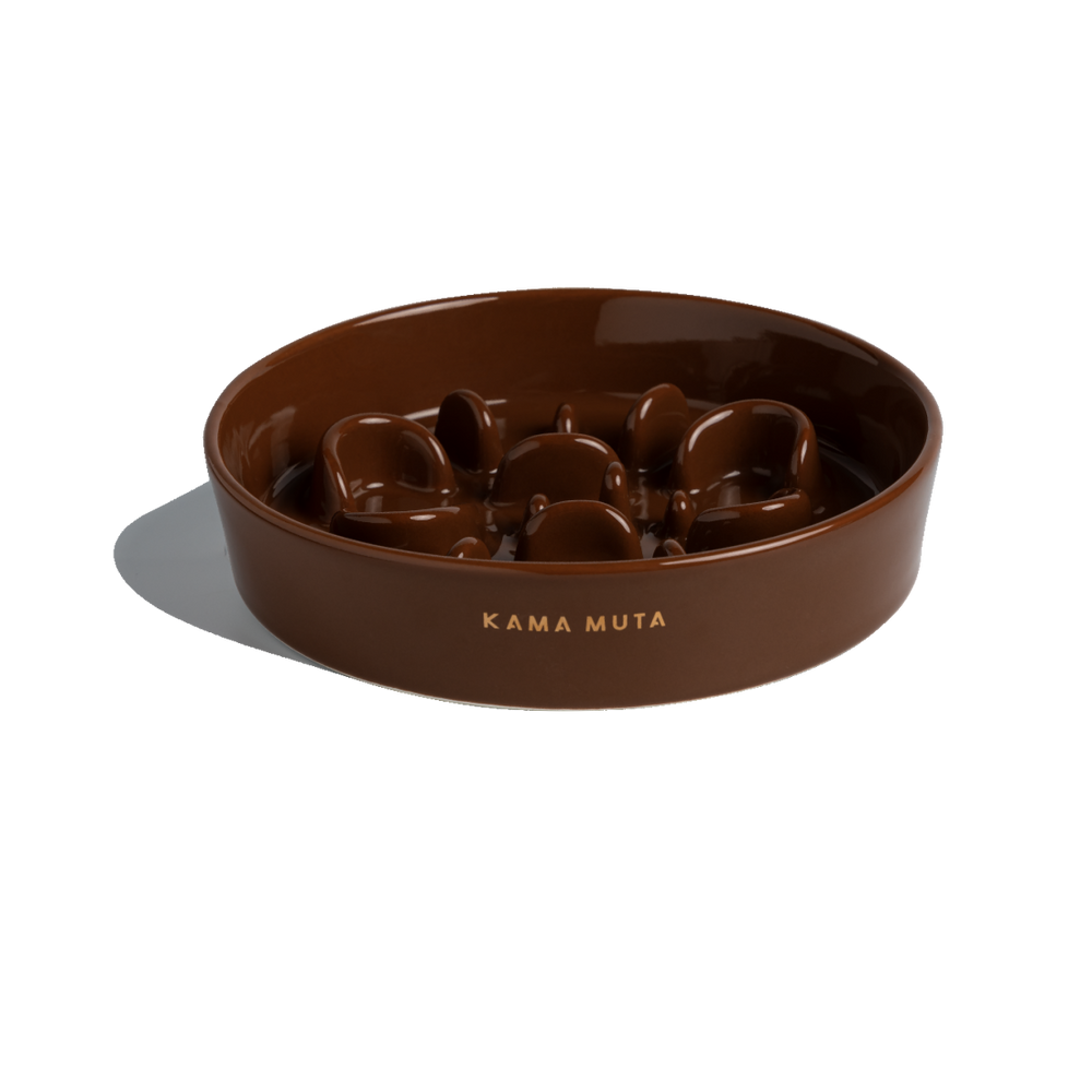 
                  
                    Pet Slow Feeder Dog Bowl- Bone Kamamuta
                  
                