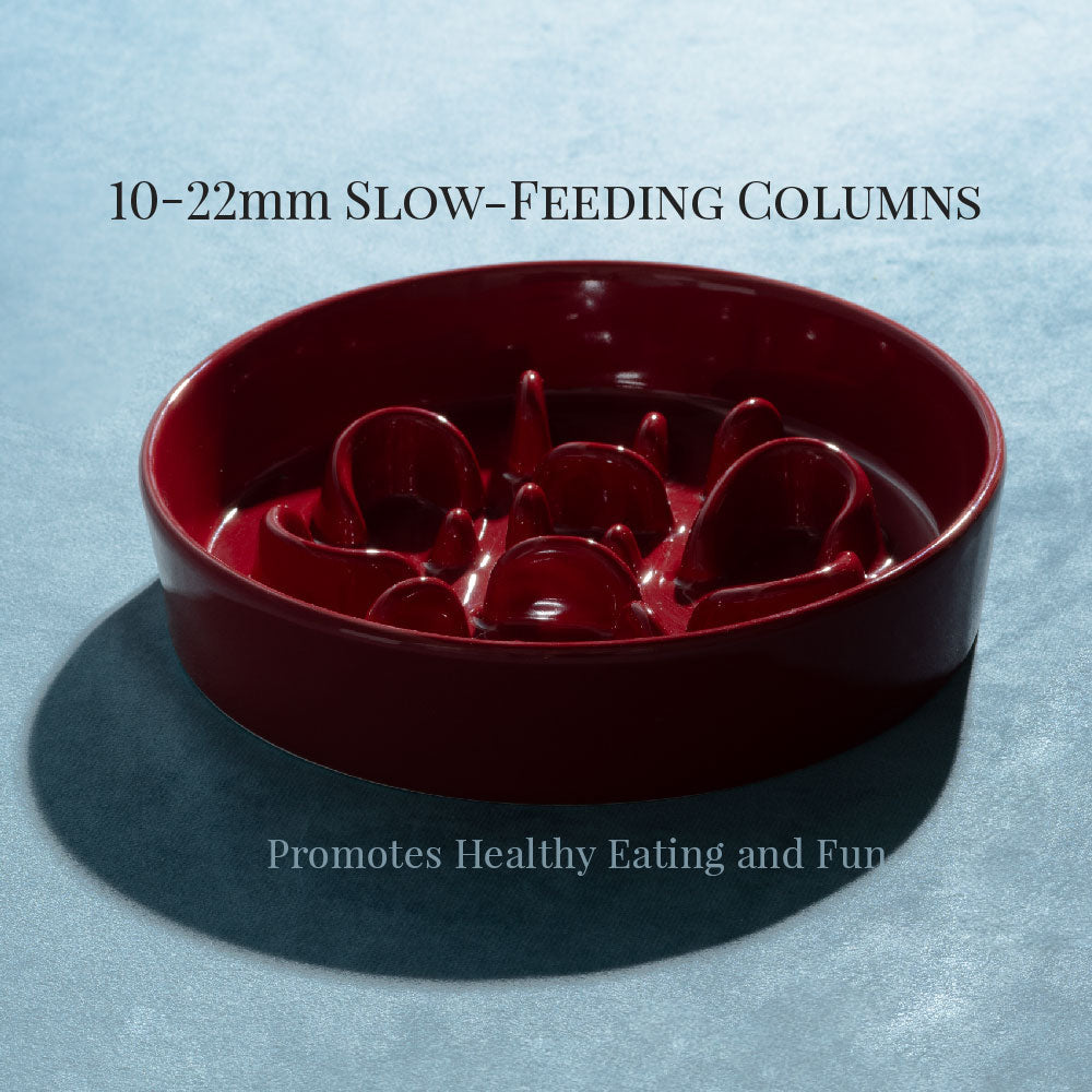 
                  
                    Pet Slow Feeder Dog Bowl- Bone Kamamuta
                  
                