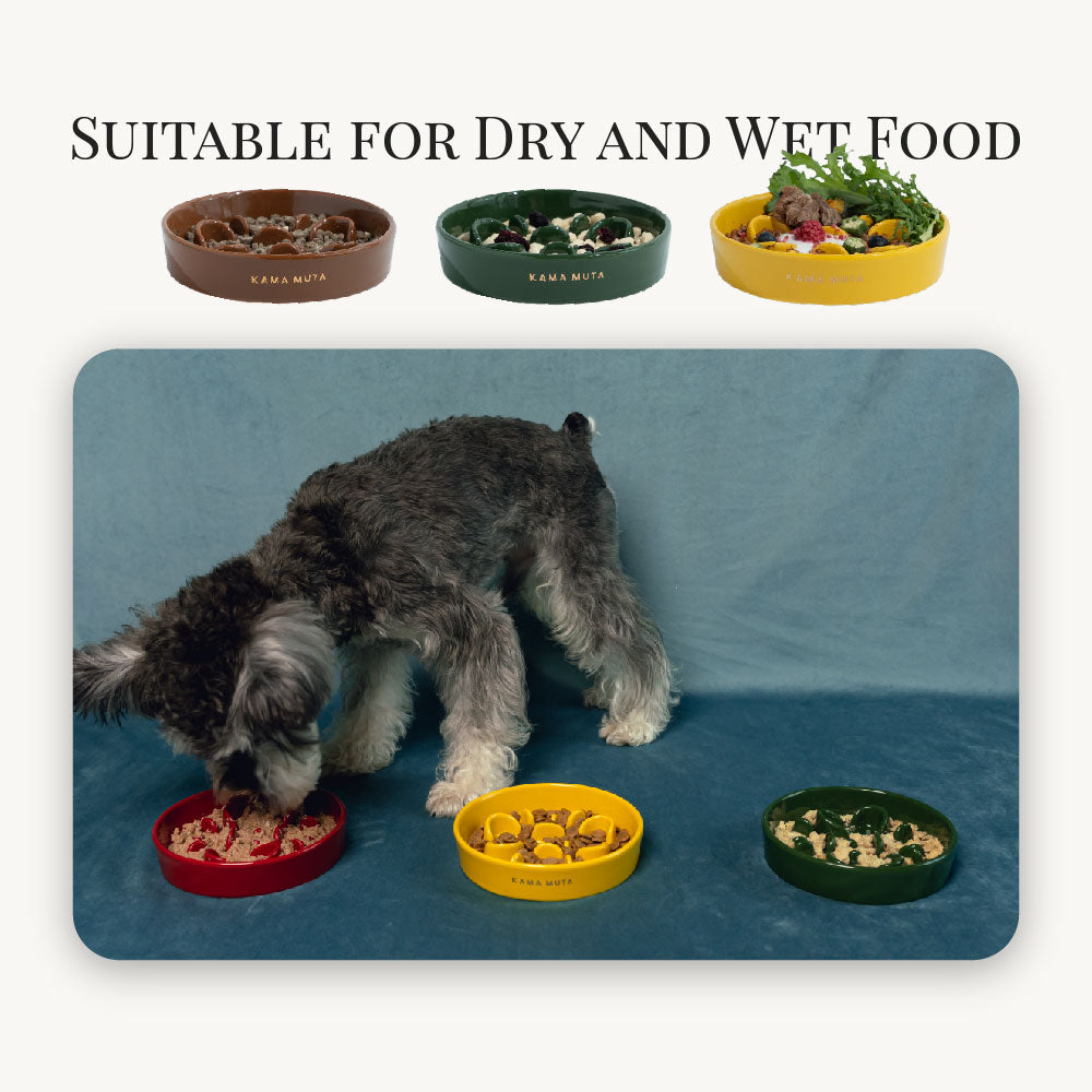 
                  
                    Pet Slow Feeder Dog Bowl- Bone Kamamuta
                  
                