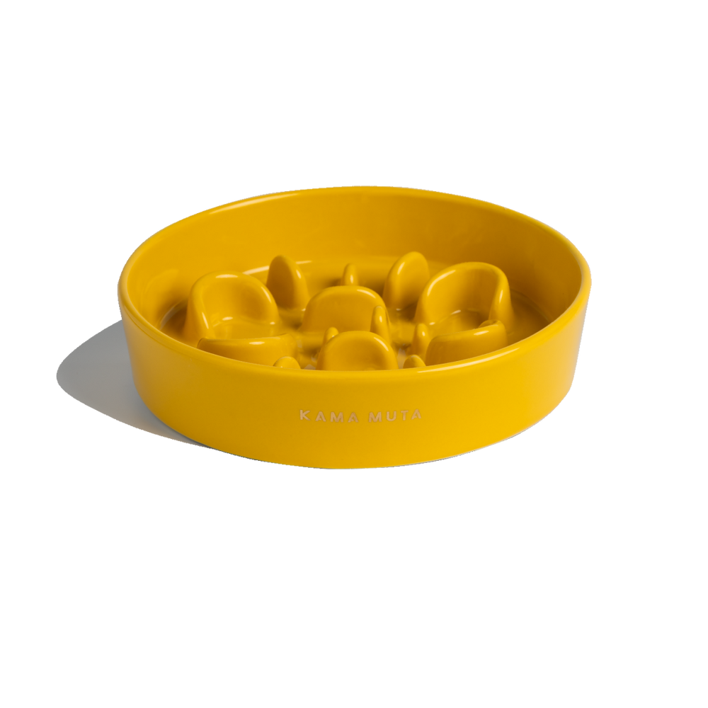 
                  
                    Pet Slow Feeder Dog Bowl- Bone Kamamuta
                  
                