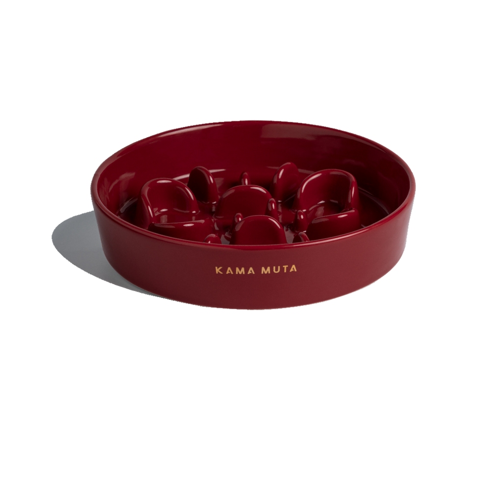 
                  
                    Pet Slow Feeder Dog Bowl- Bone Kamamuta
                  
                