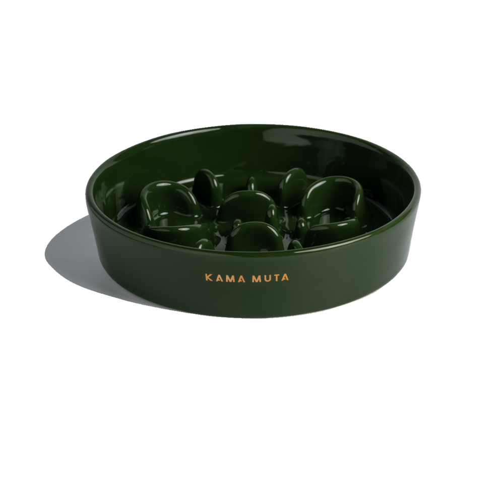 
                  
                    Pet Slow Feeder Dog Bowl- Bone Kamamuta
                  
                