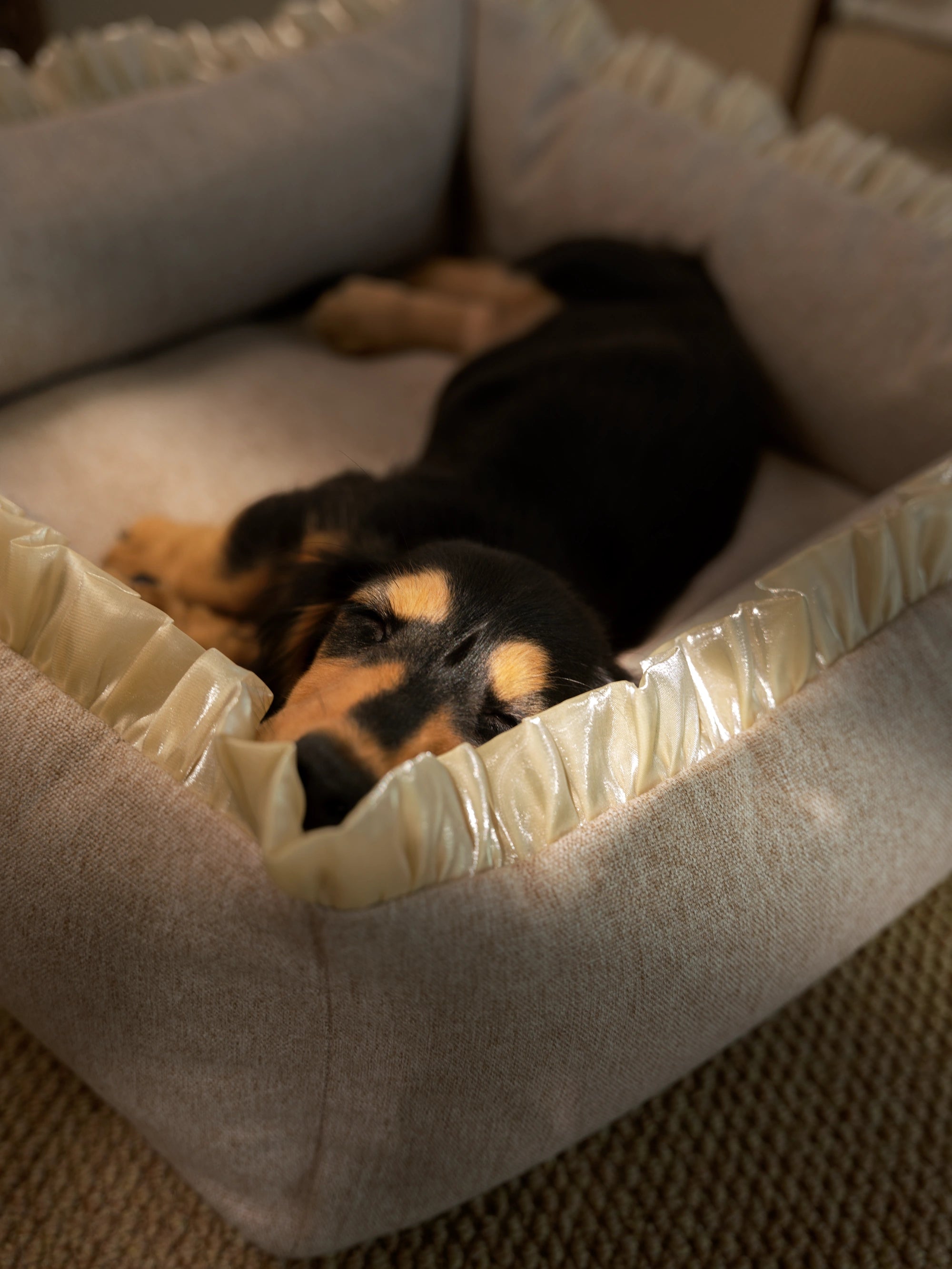 Pet Airy Bed Washable Portable Inflatable