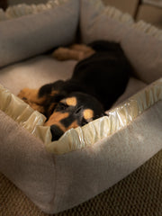 Pet Airy Bed Washable Portable Inflatable