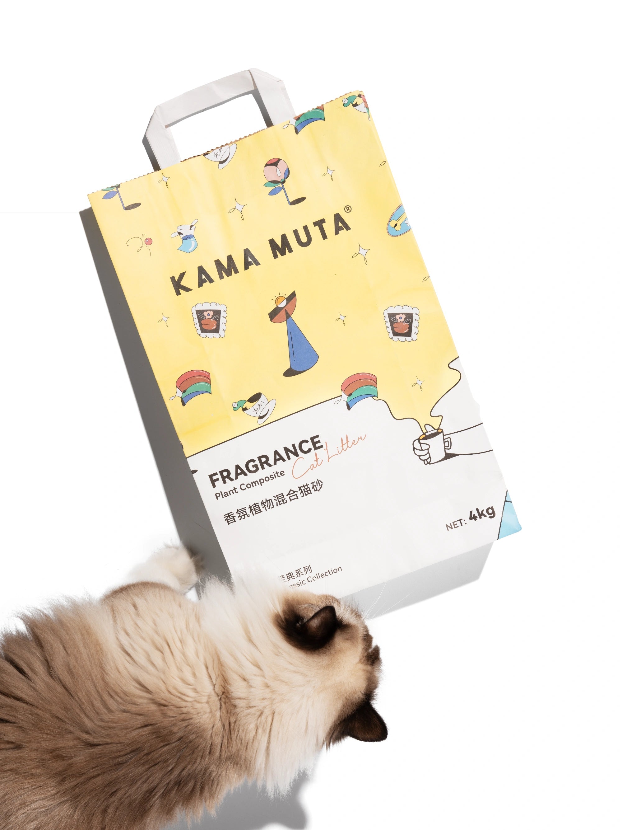 ragdoll-cat-rubbing-against-kamamuta-tofu-cat-litter-on-white-background