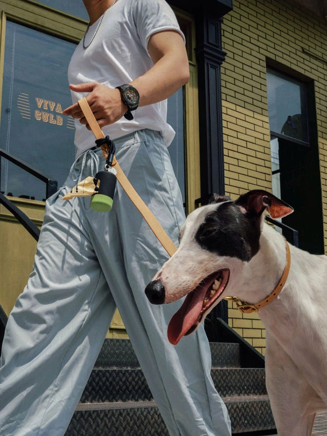 Dog Poop Dispenser Bag Holder
