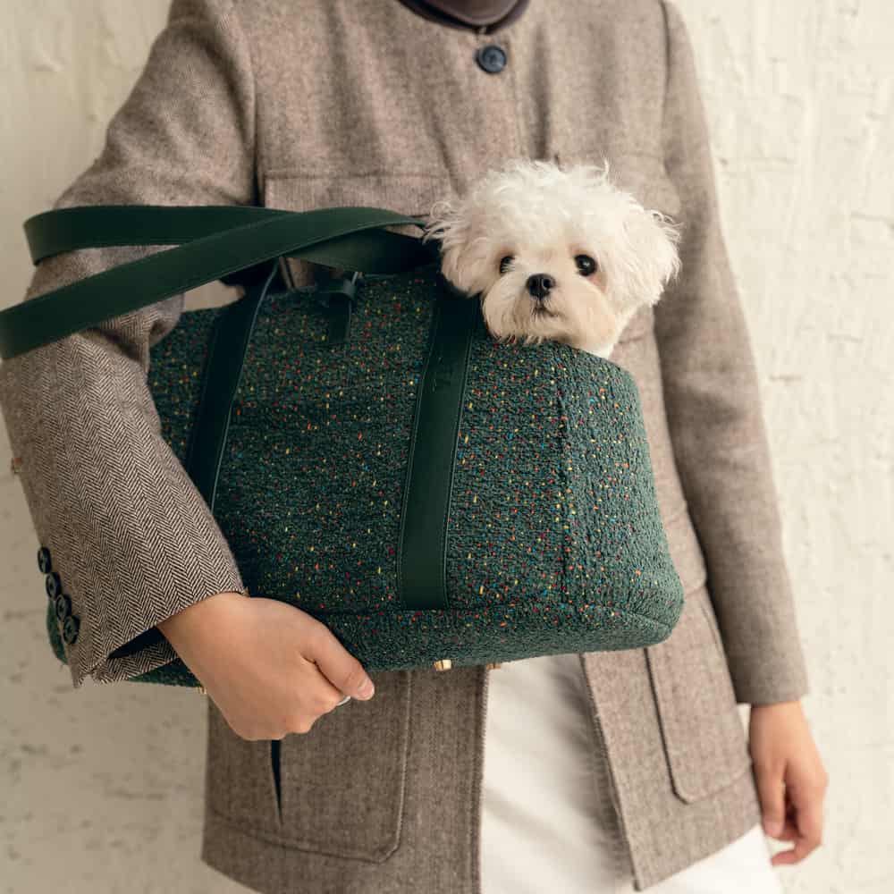 Warm Cat and Dog Carrier for Winter | Stylish & Cozy Pet Bag HK Kamamuta