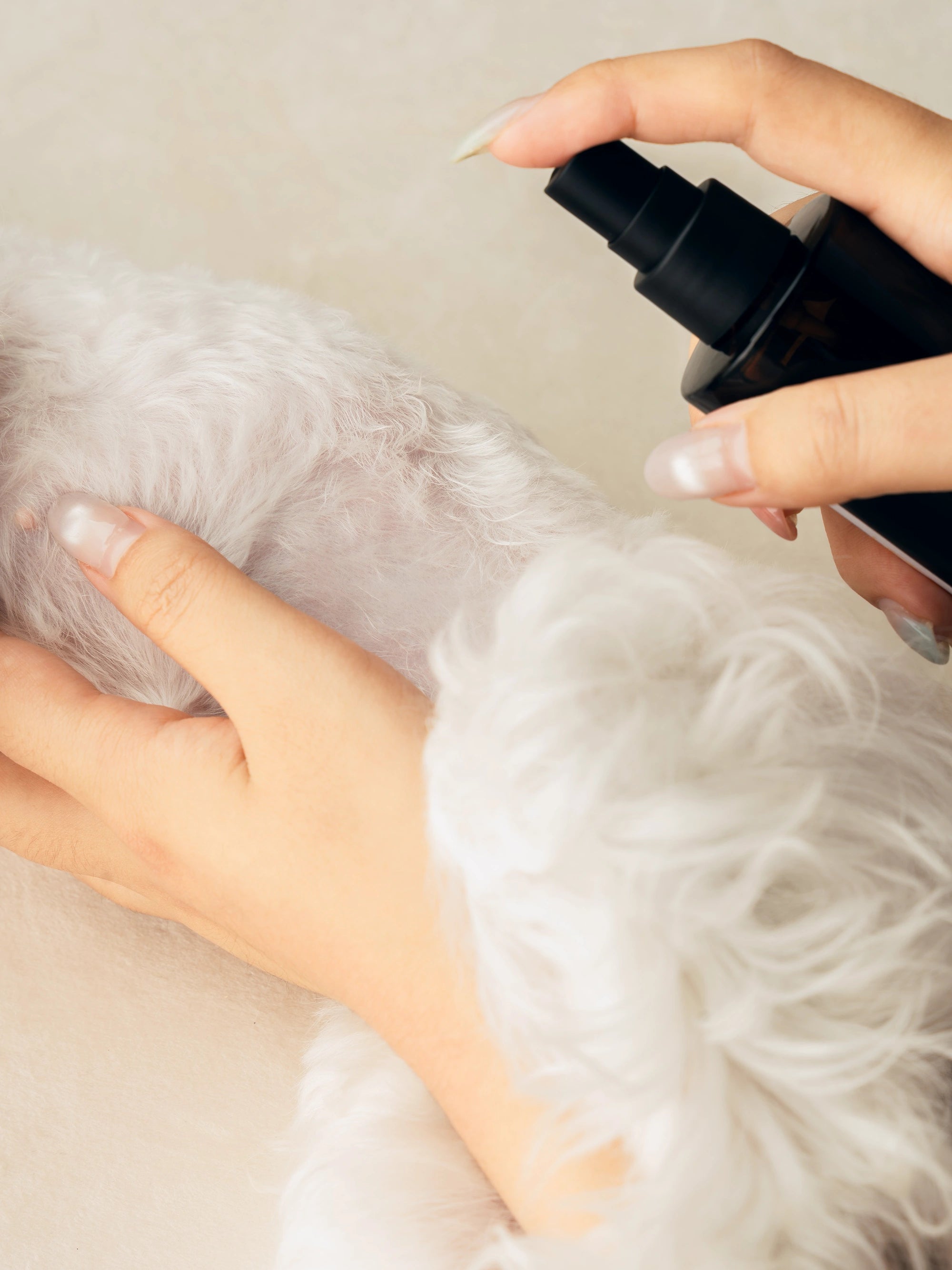 Pet Hydrosol Daily Pet Care