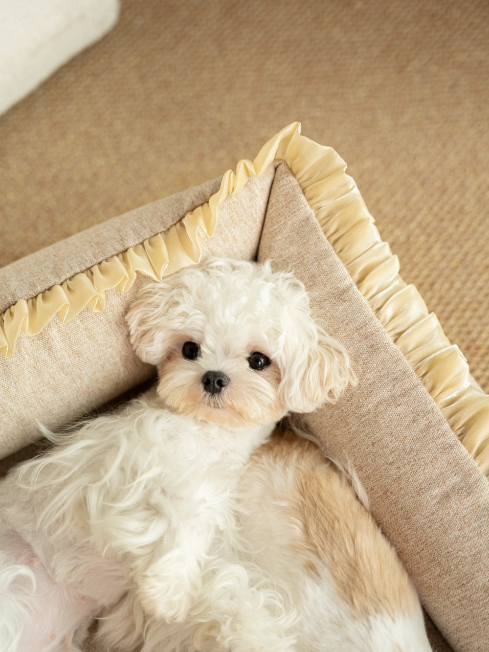 Pet Airy Bed Washable Portable Inflatable